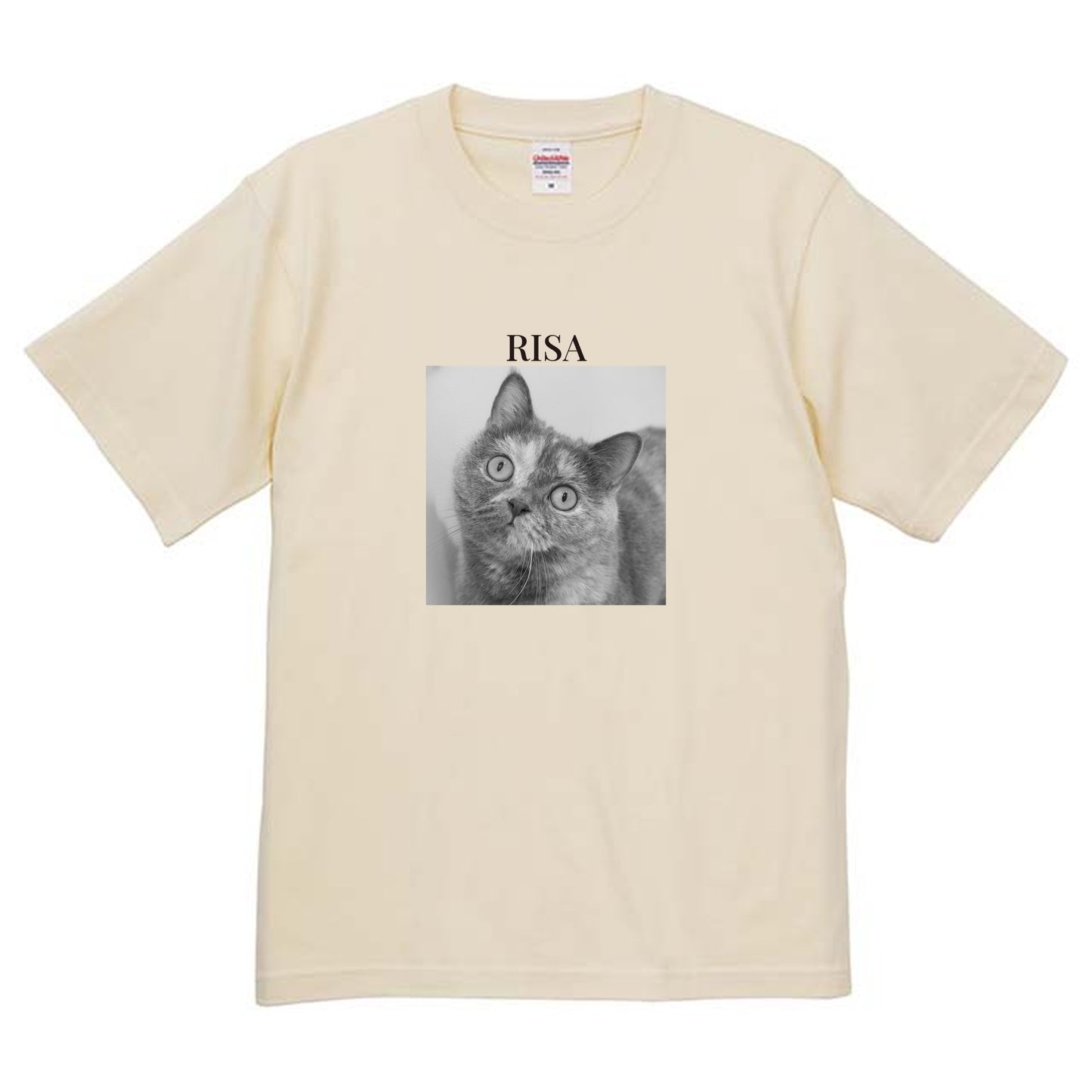 019