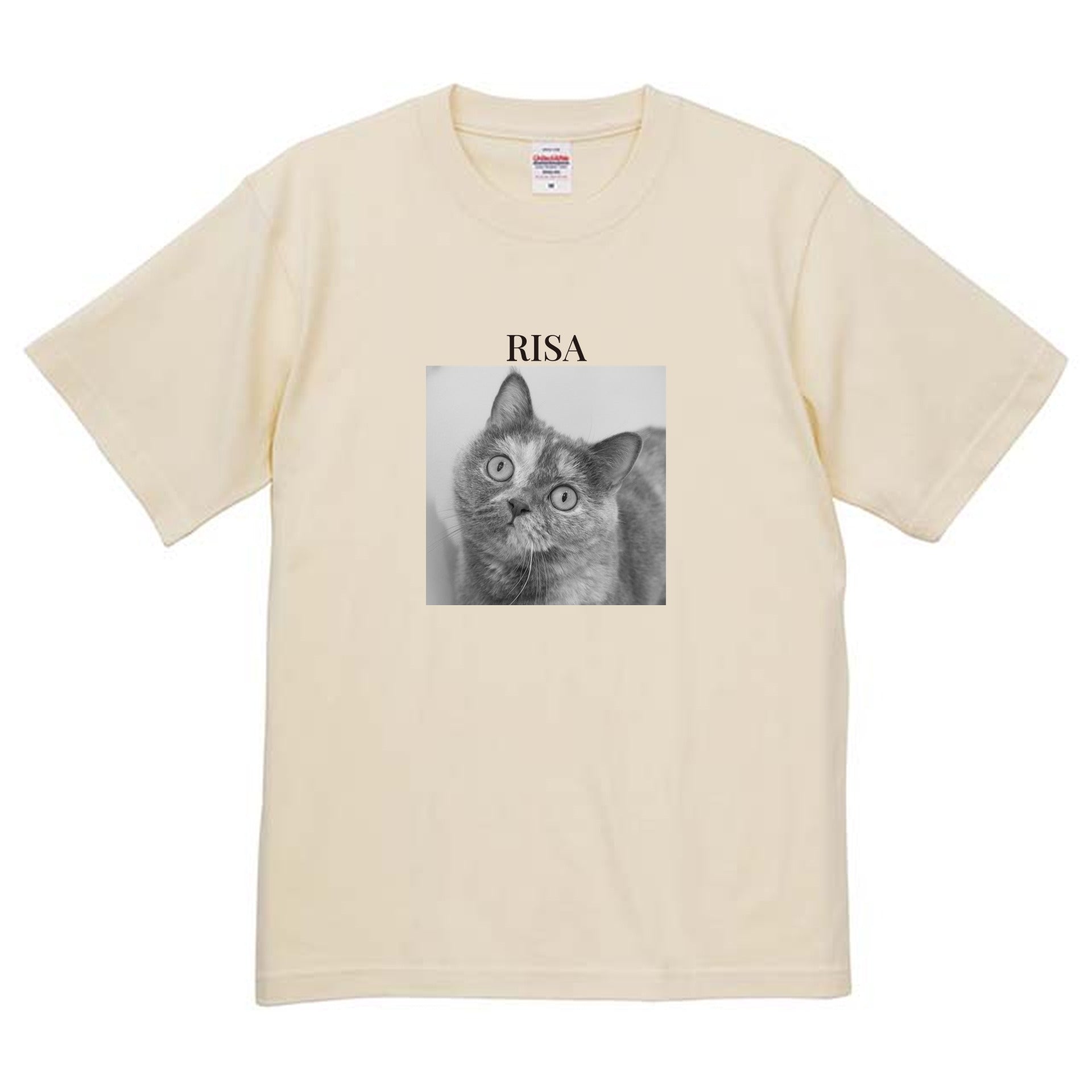 019