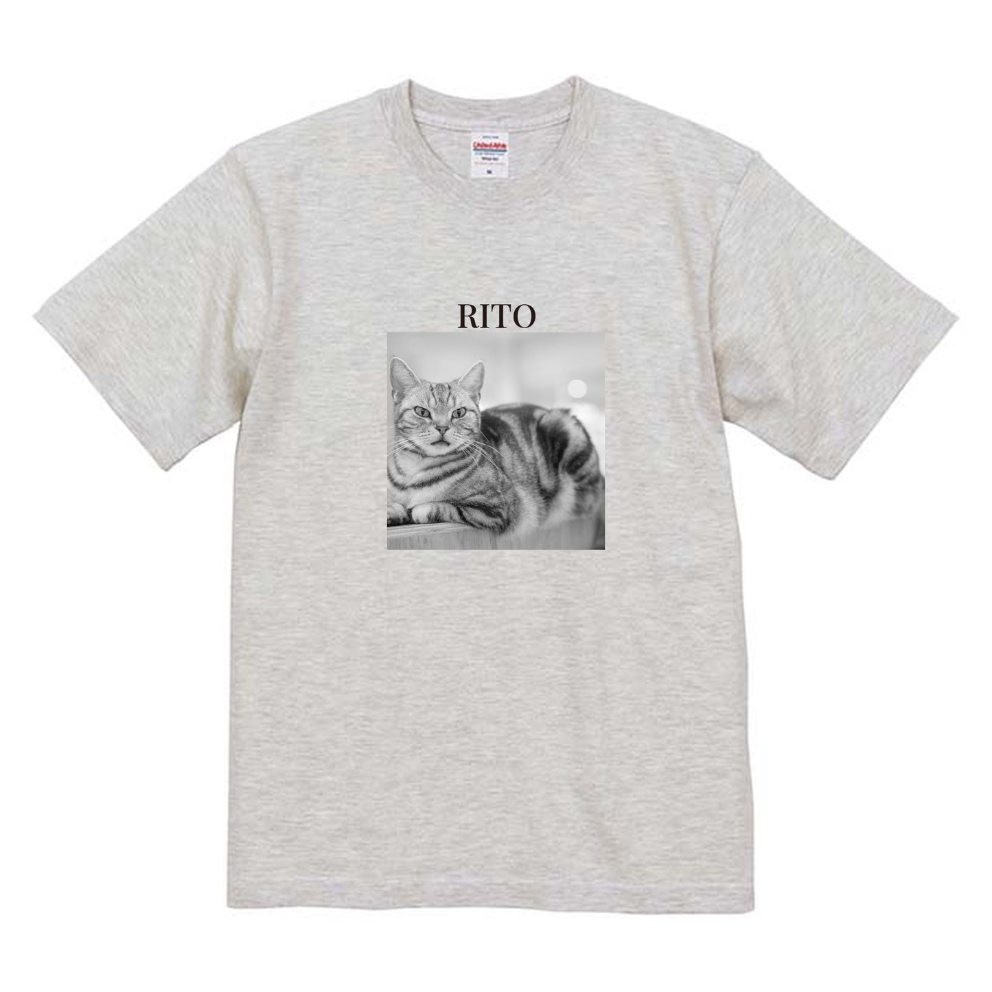 009