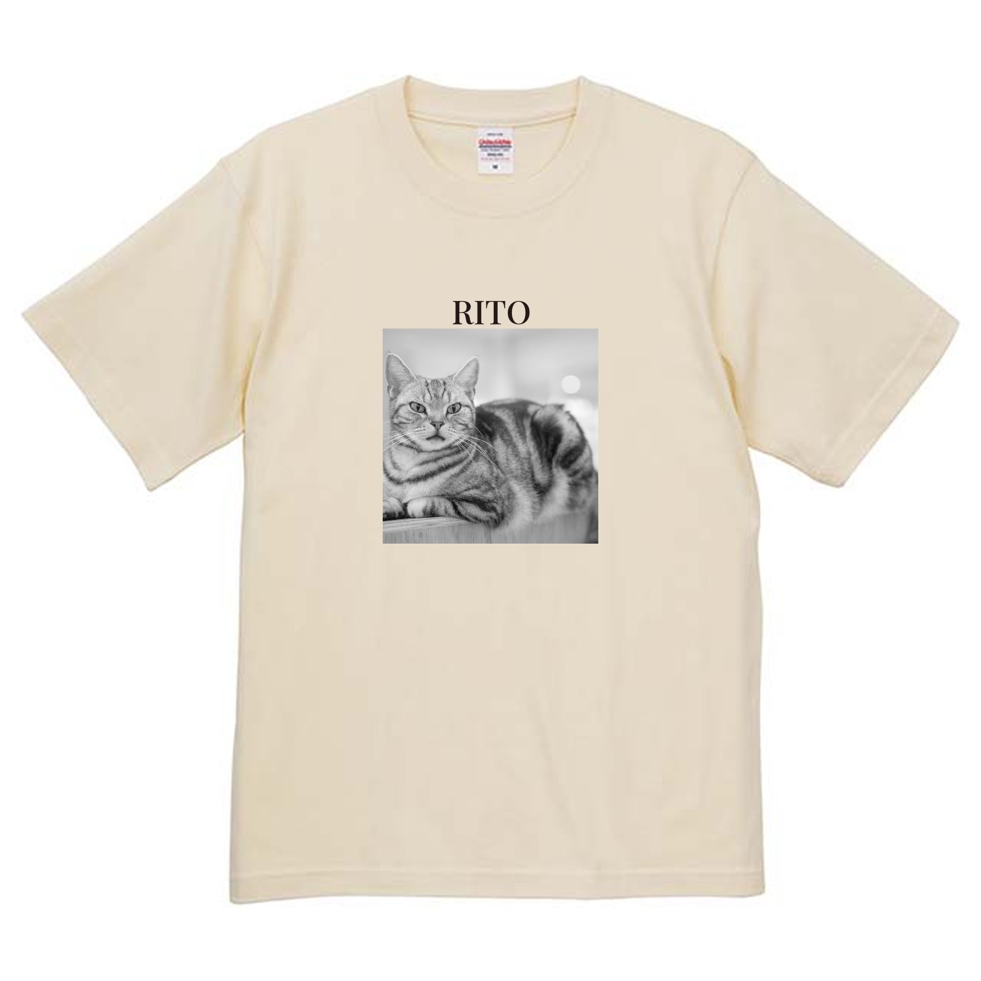 019