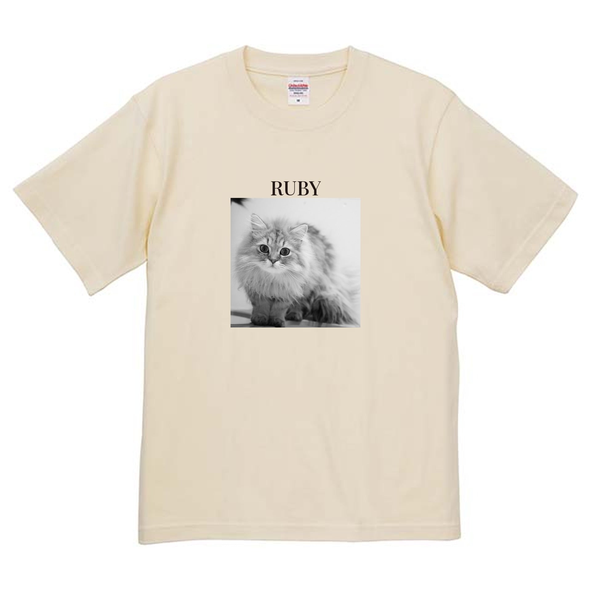 019
