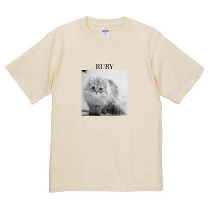 019