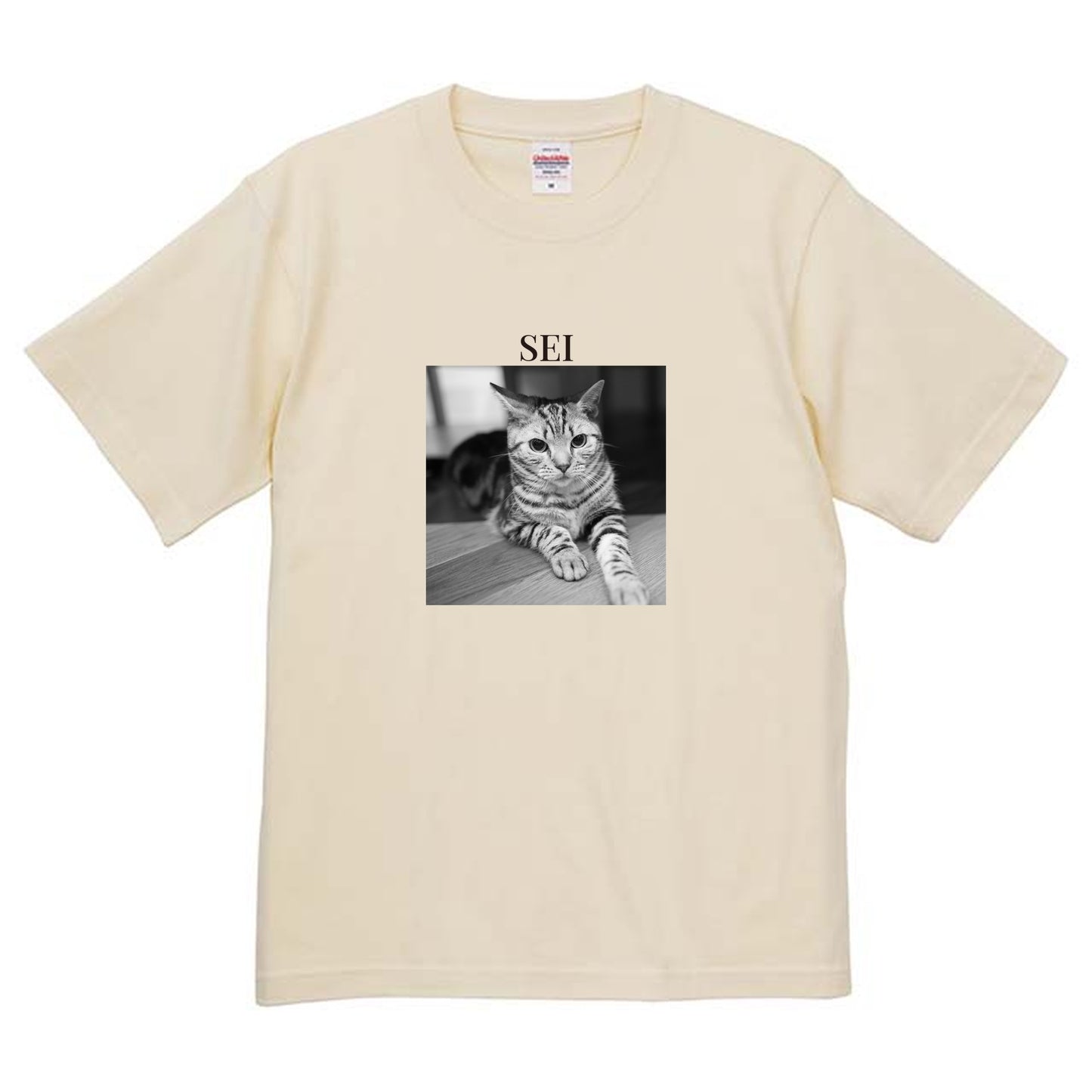 019