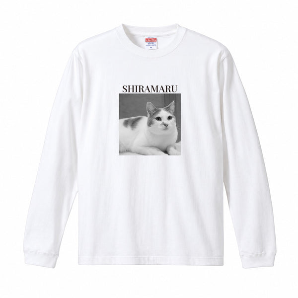 シラマル コットンロングTシャツ