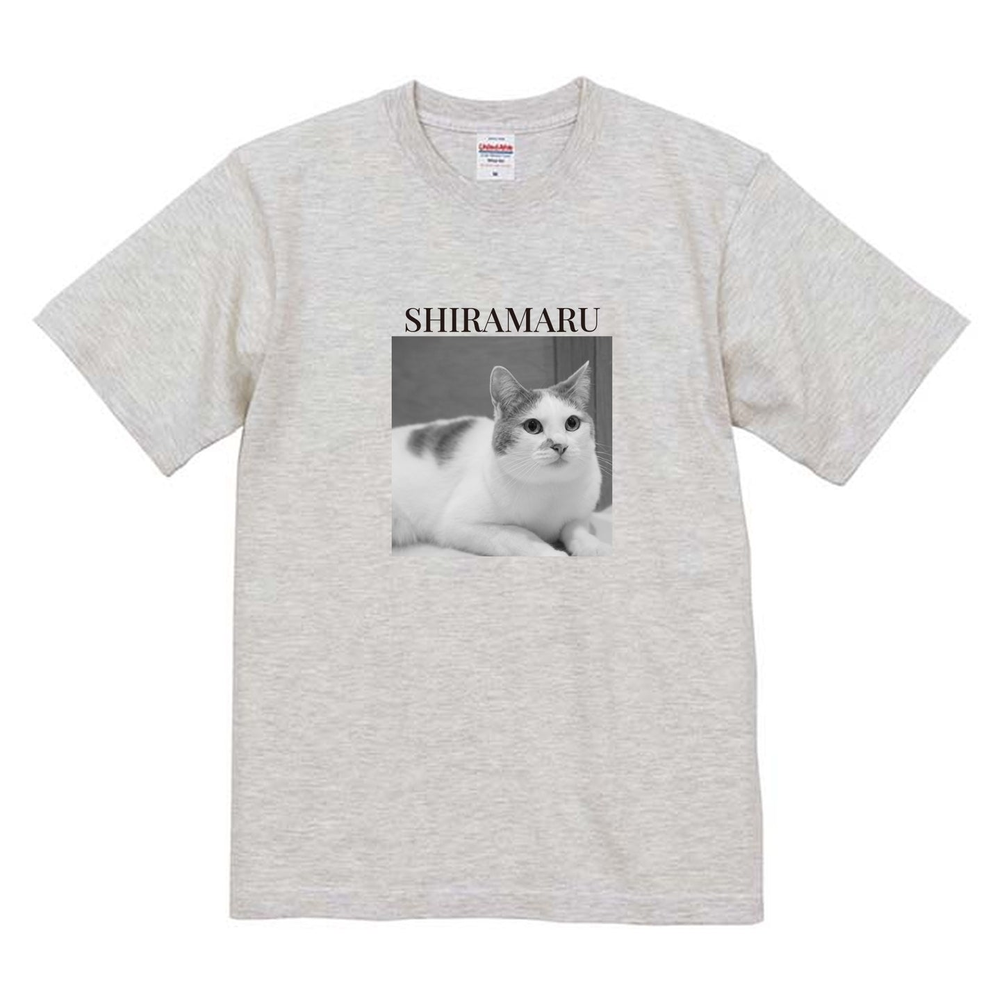 009