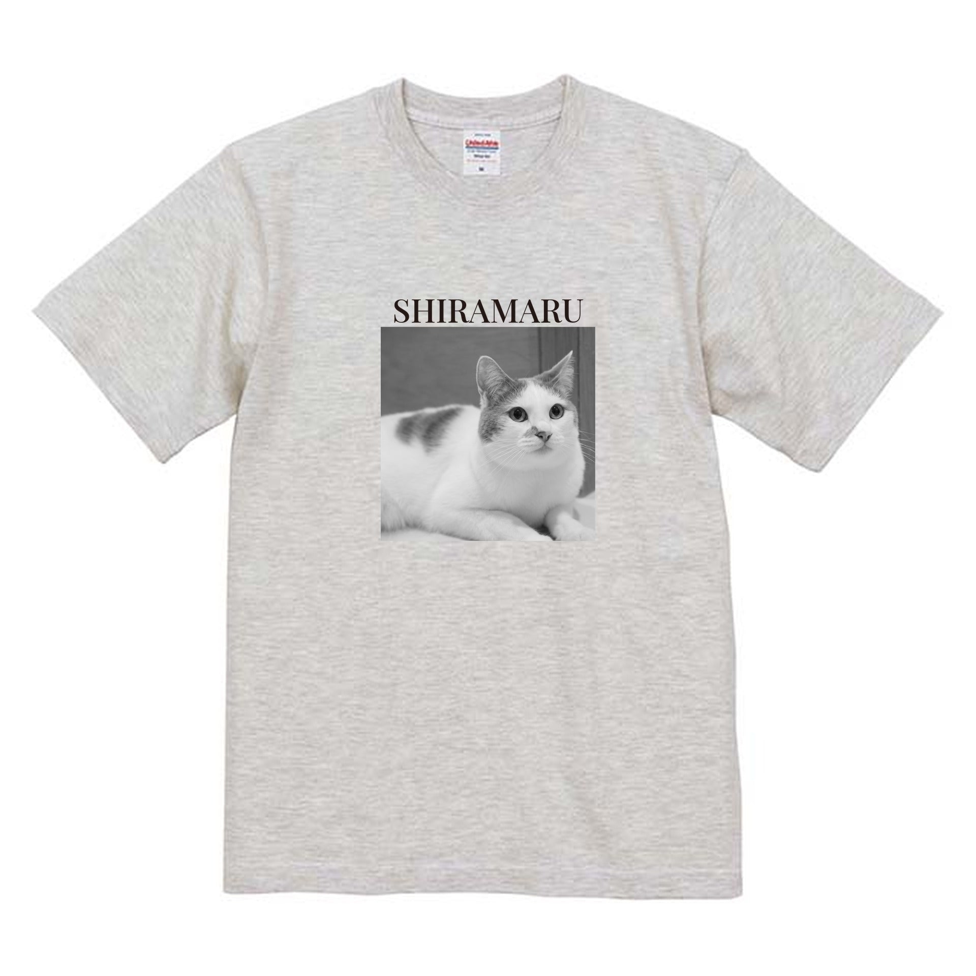 009