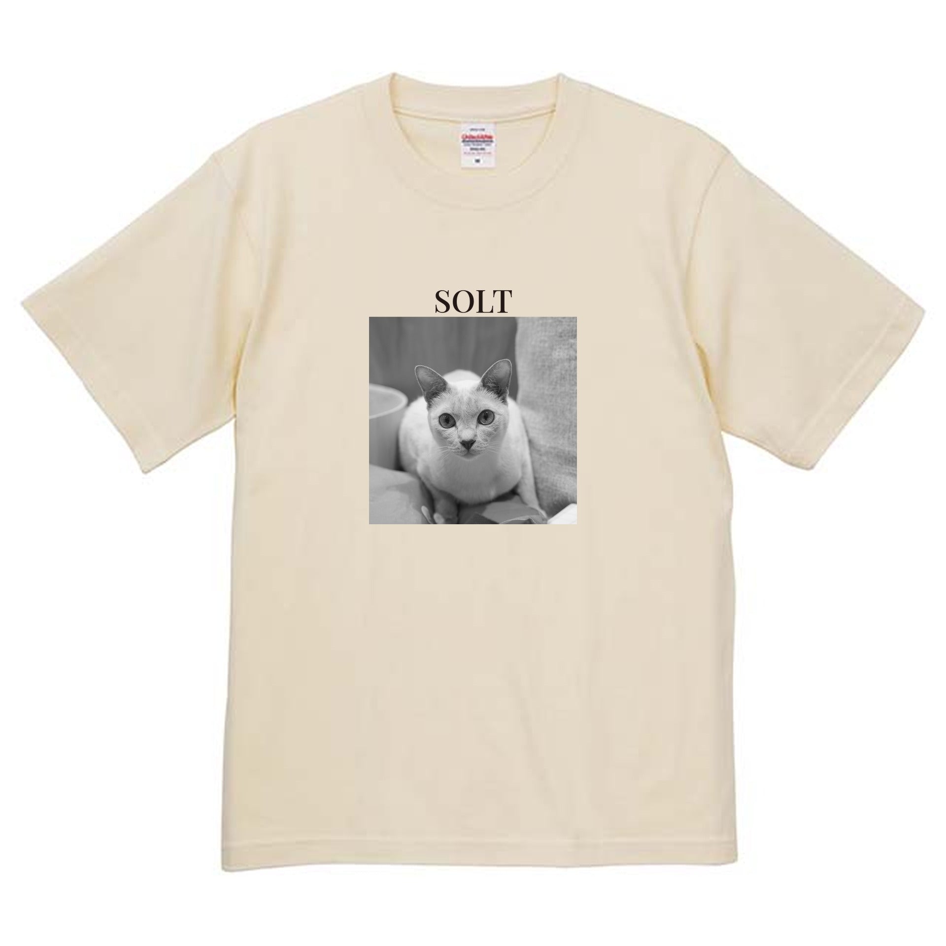 019