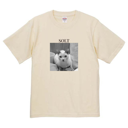 019
