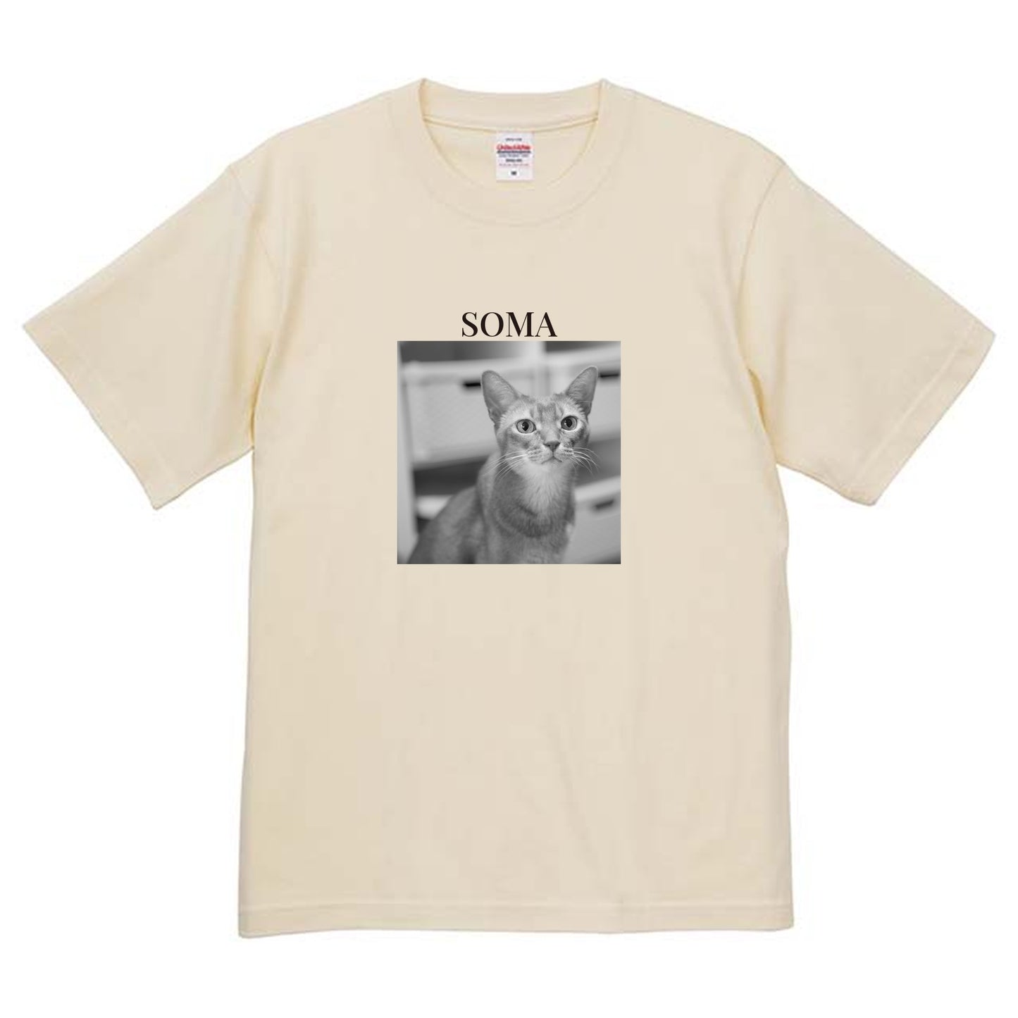 019