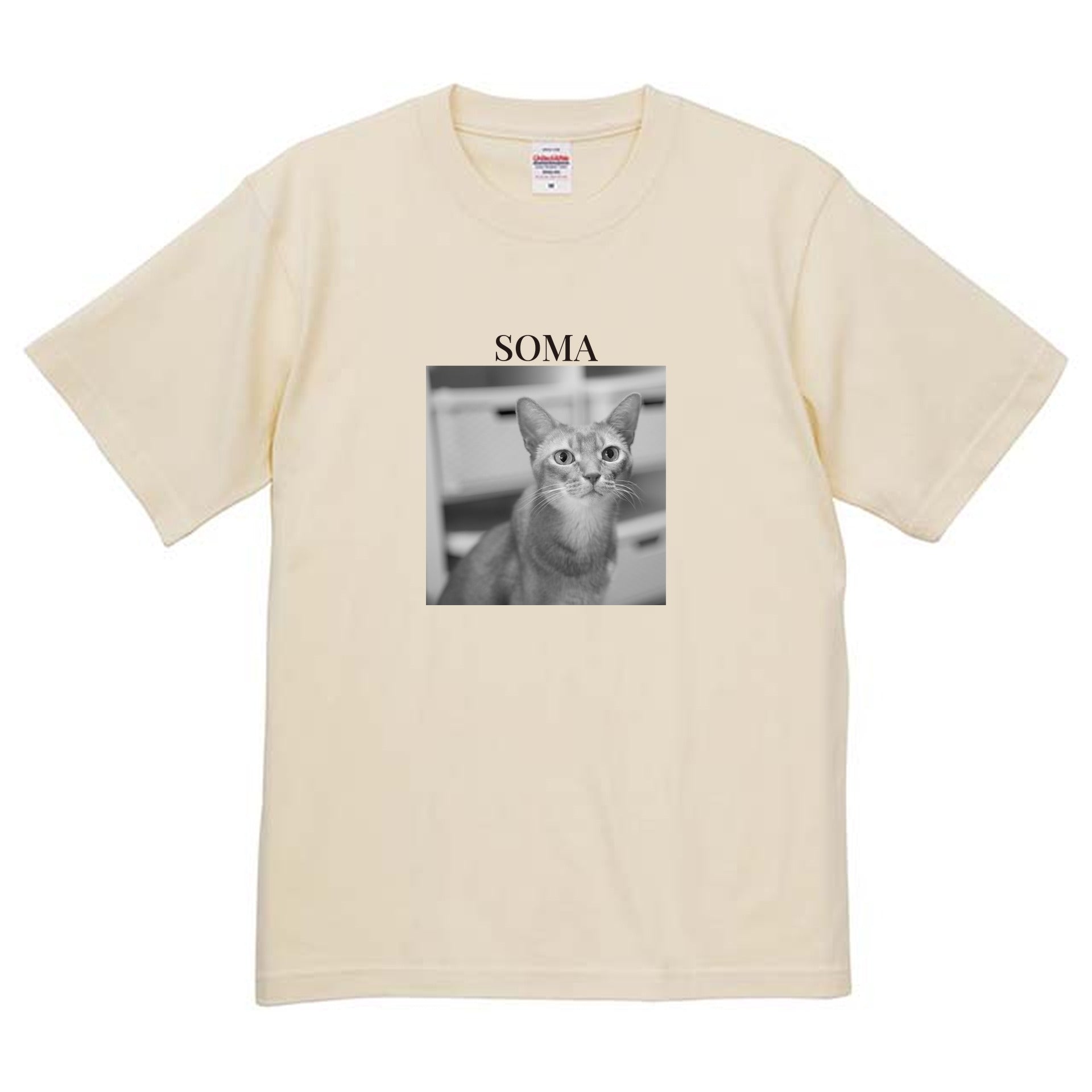 019