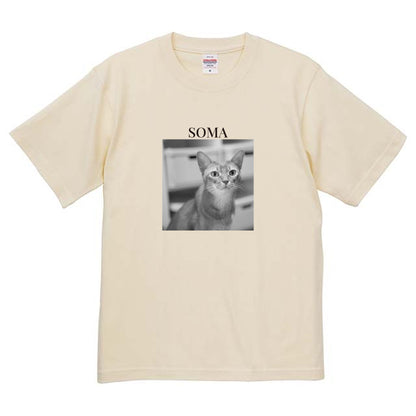 019