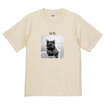 019