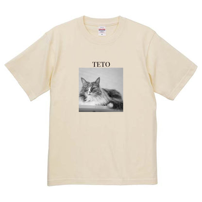 019