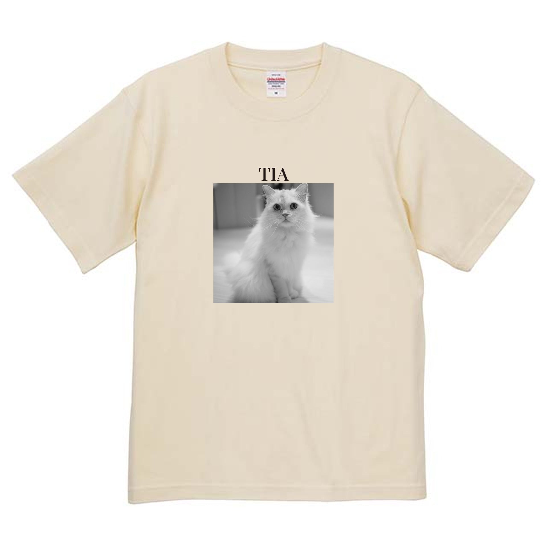 019