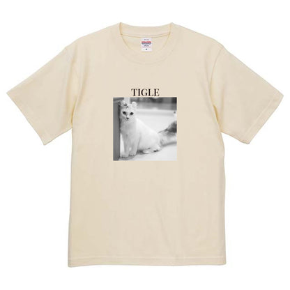 019