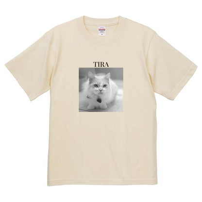 019