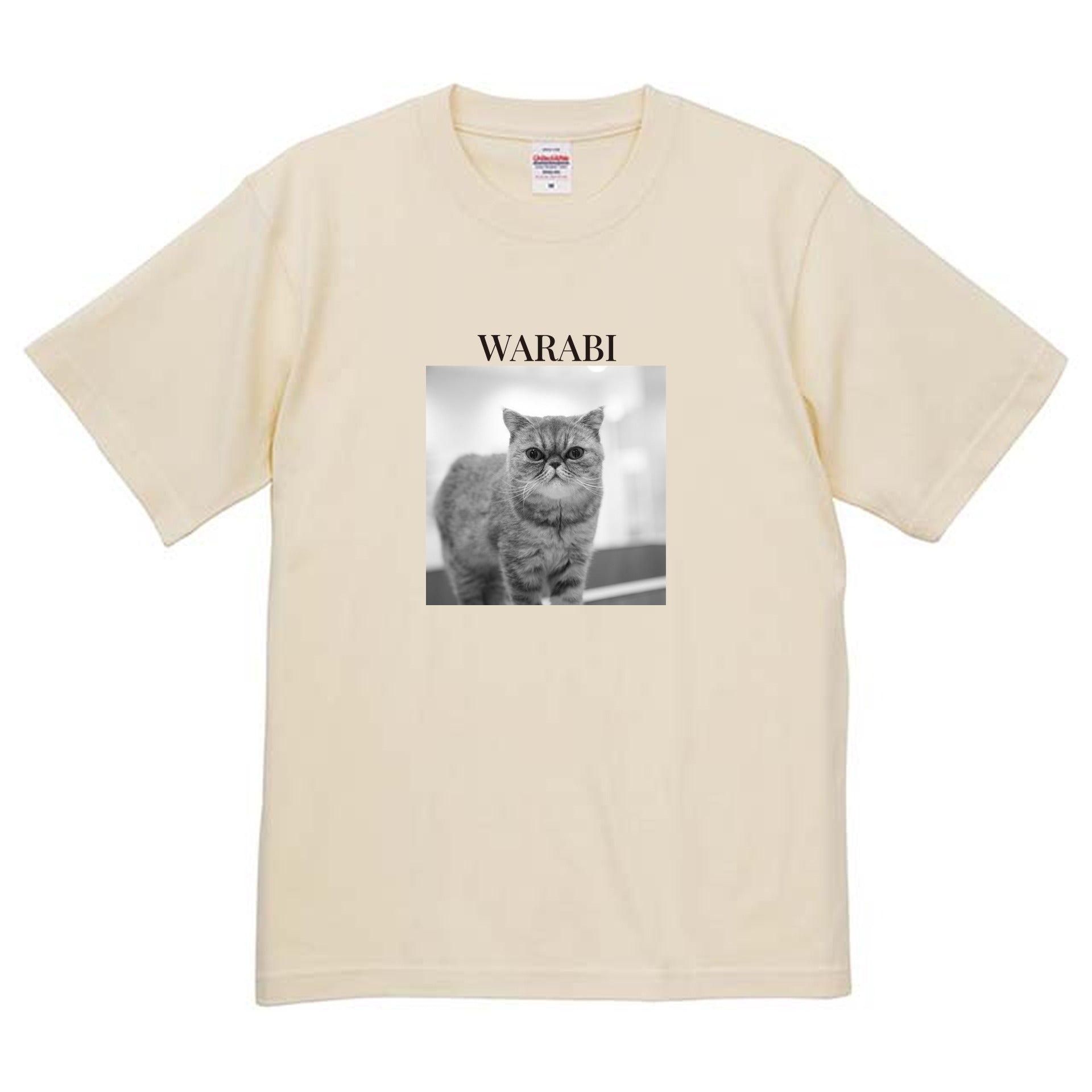019