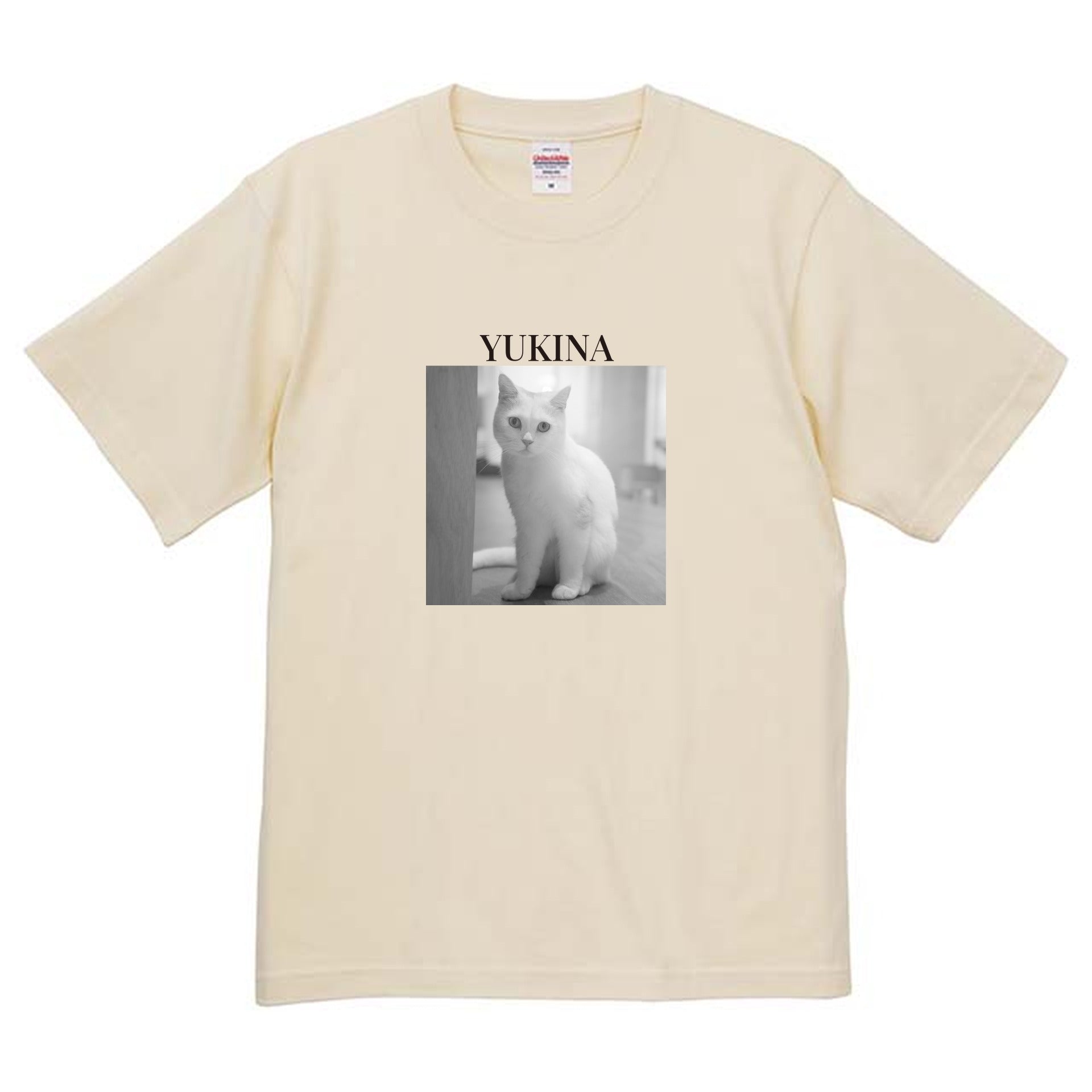 019