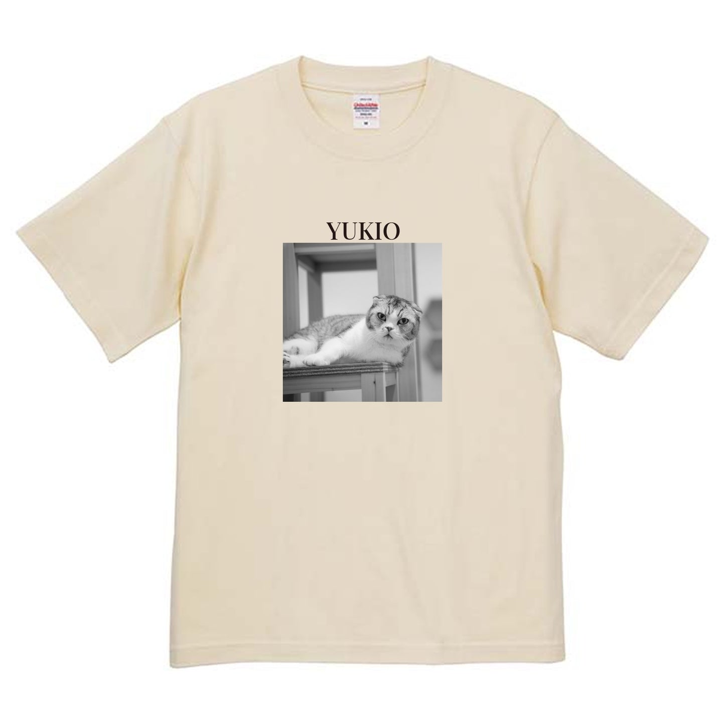 019