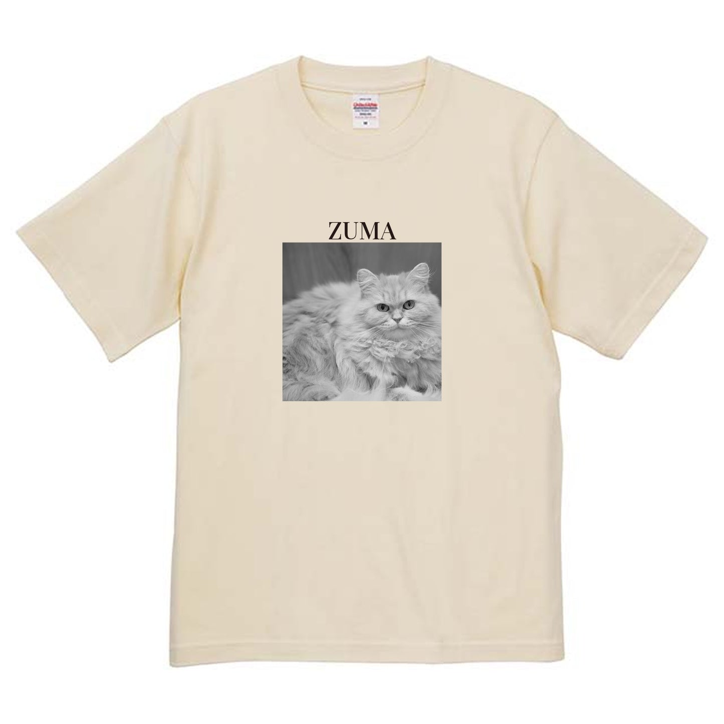019
