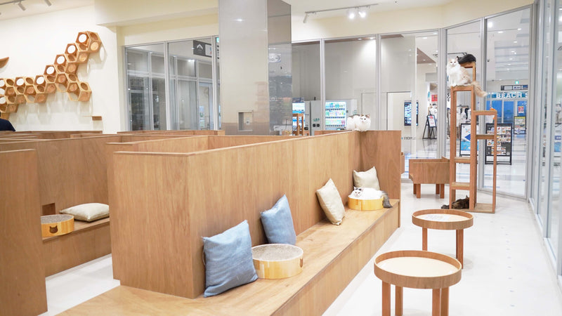 イーアス沖縄豊崎店