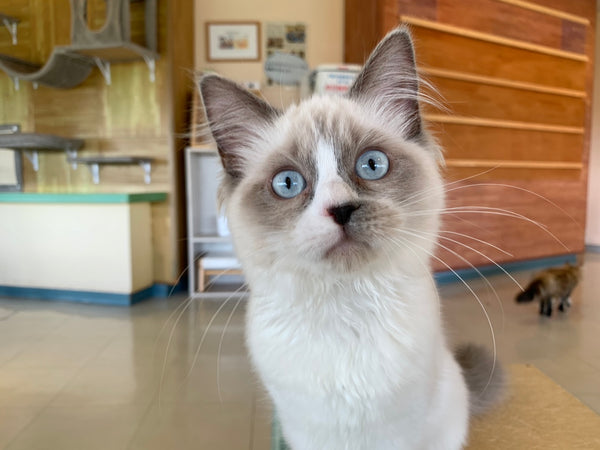 ムン の写真