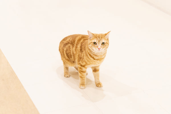 フミ の写真