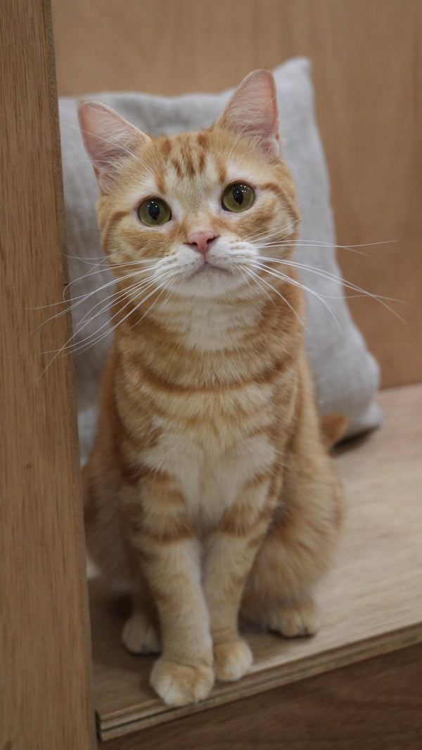 ユウト の写真