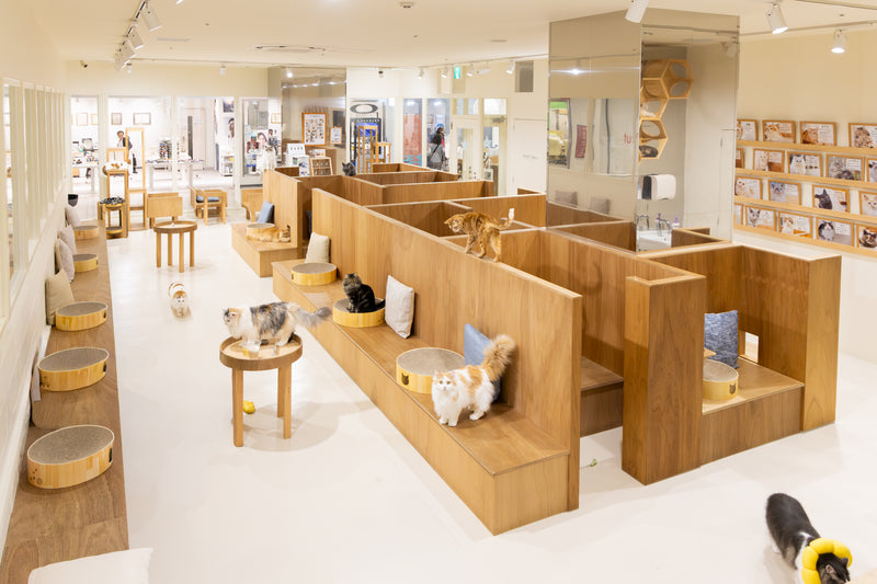 つかしん店