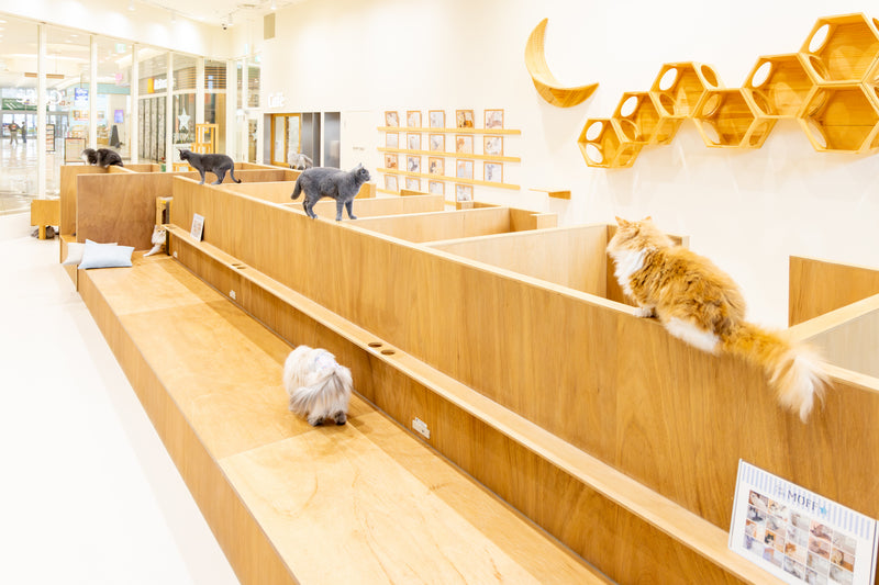 イオンモールナゴヤドーム前店