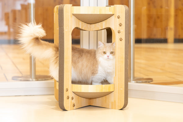 ミニ の写真