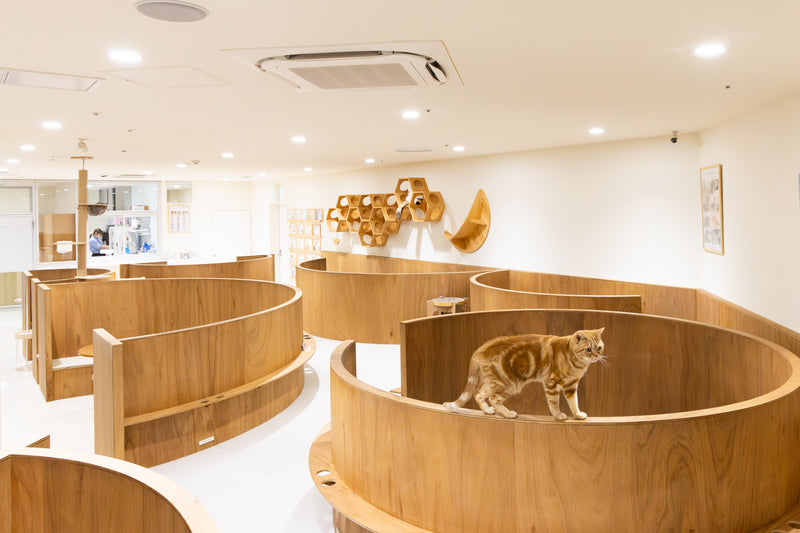 アリオ倉敷店