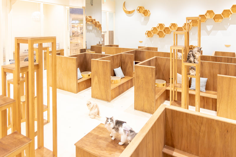 イオンモール木曽川店