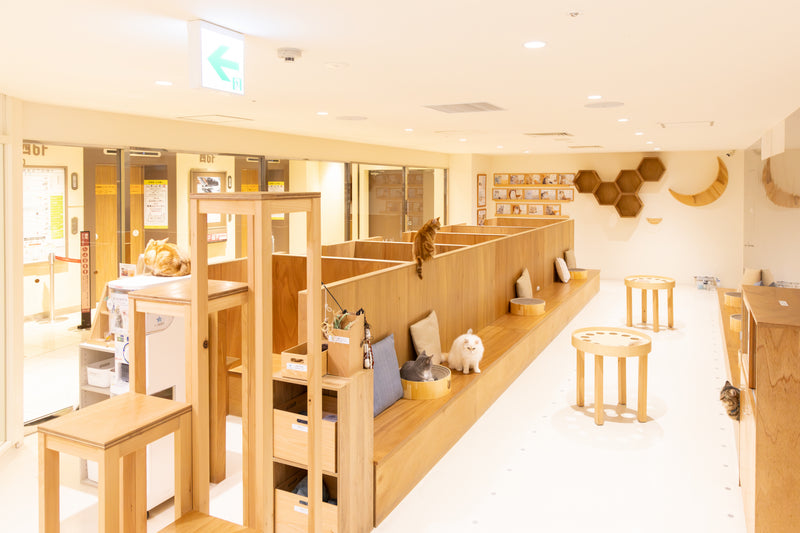 天王寺ミオ店