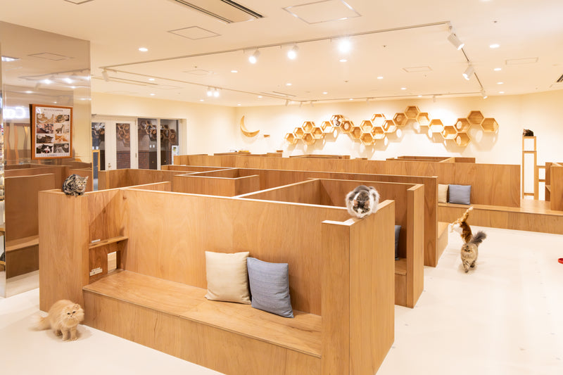 ミナモア広島店