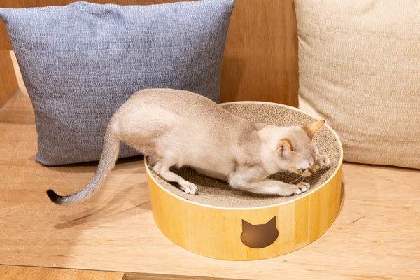 ククナ の写真