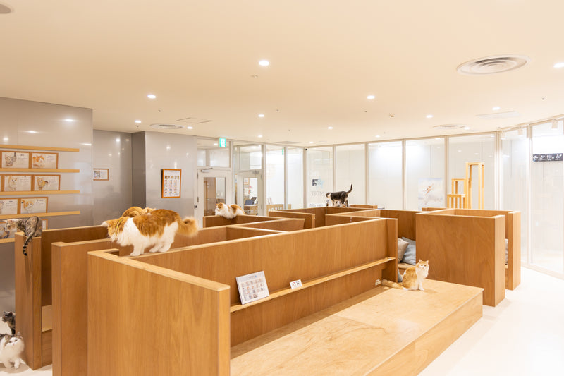仙台PARCO店