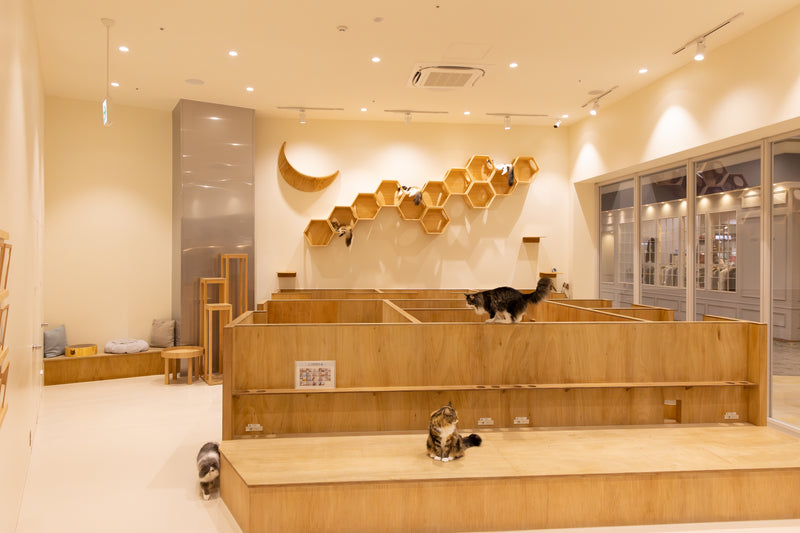 イオンモール浜松志都呂店