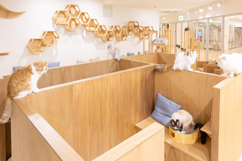 枚方モール店