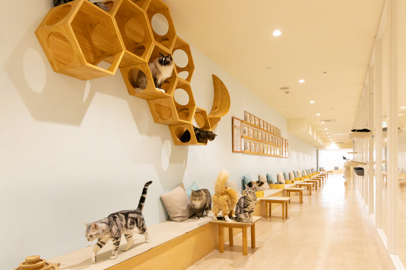 静岡PARCO店