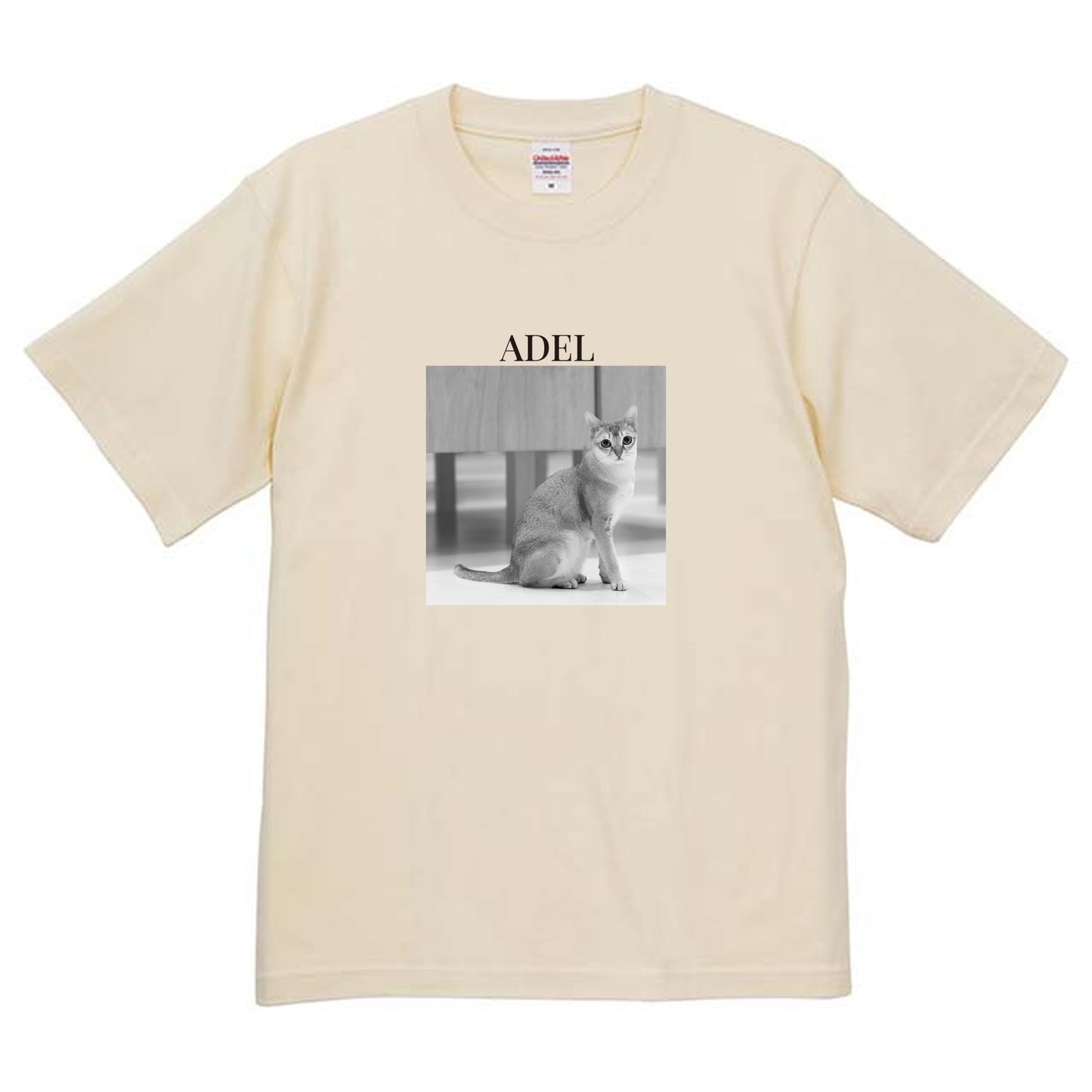 019