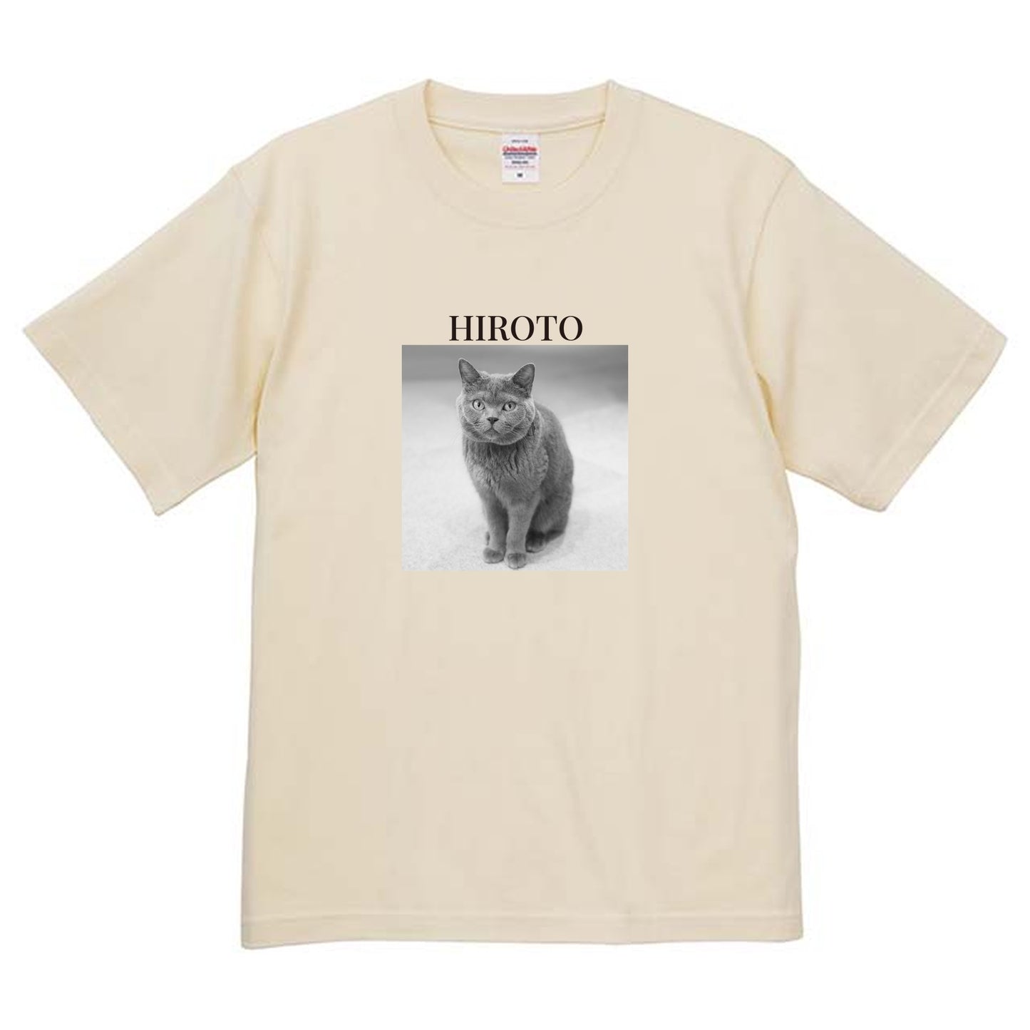 019