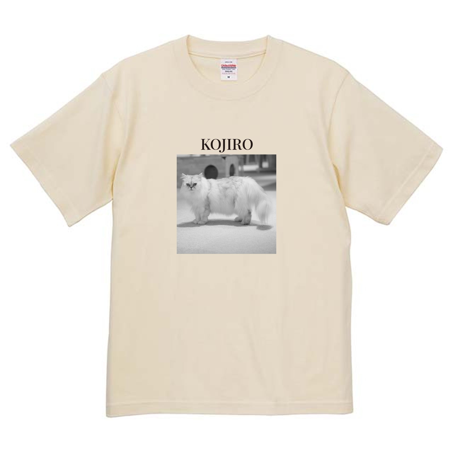 019