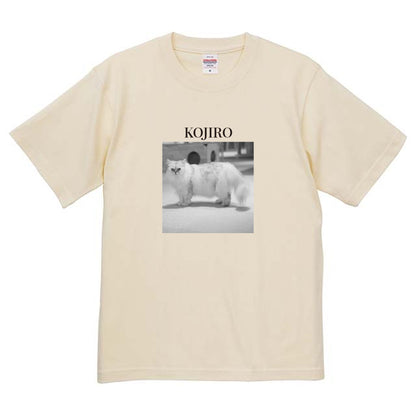 019