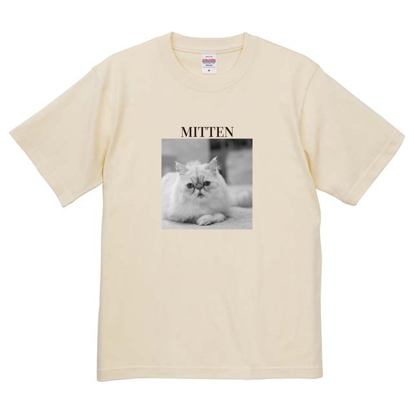 019