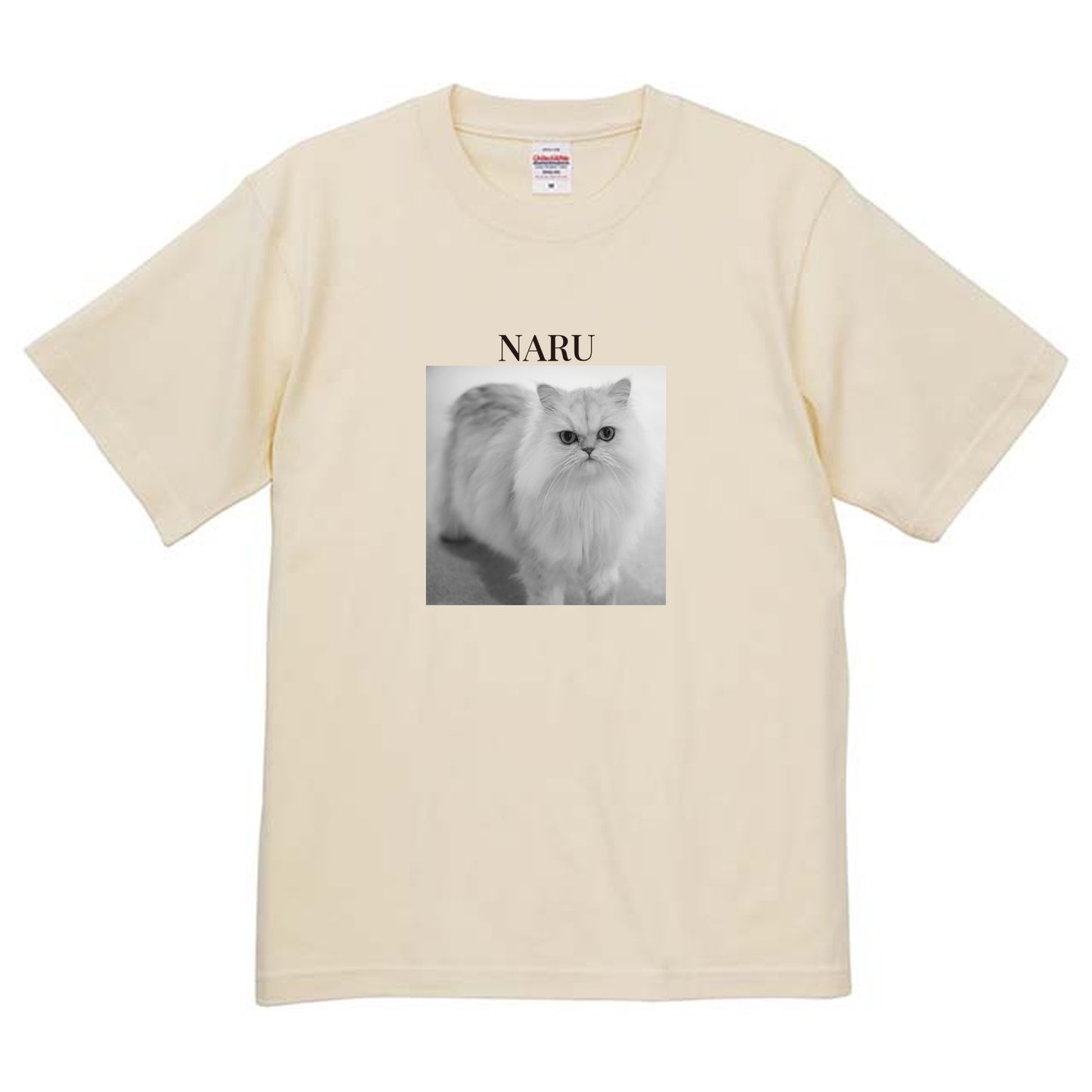 019