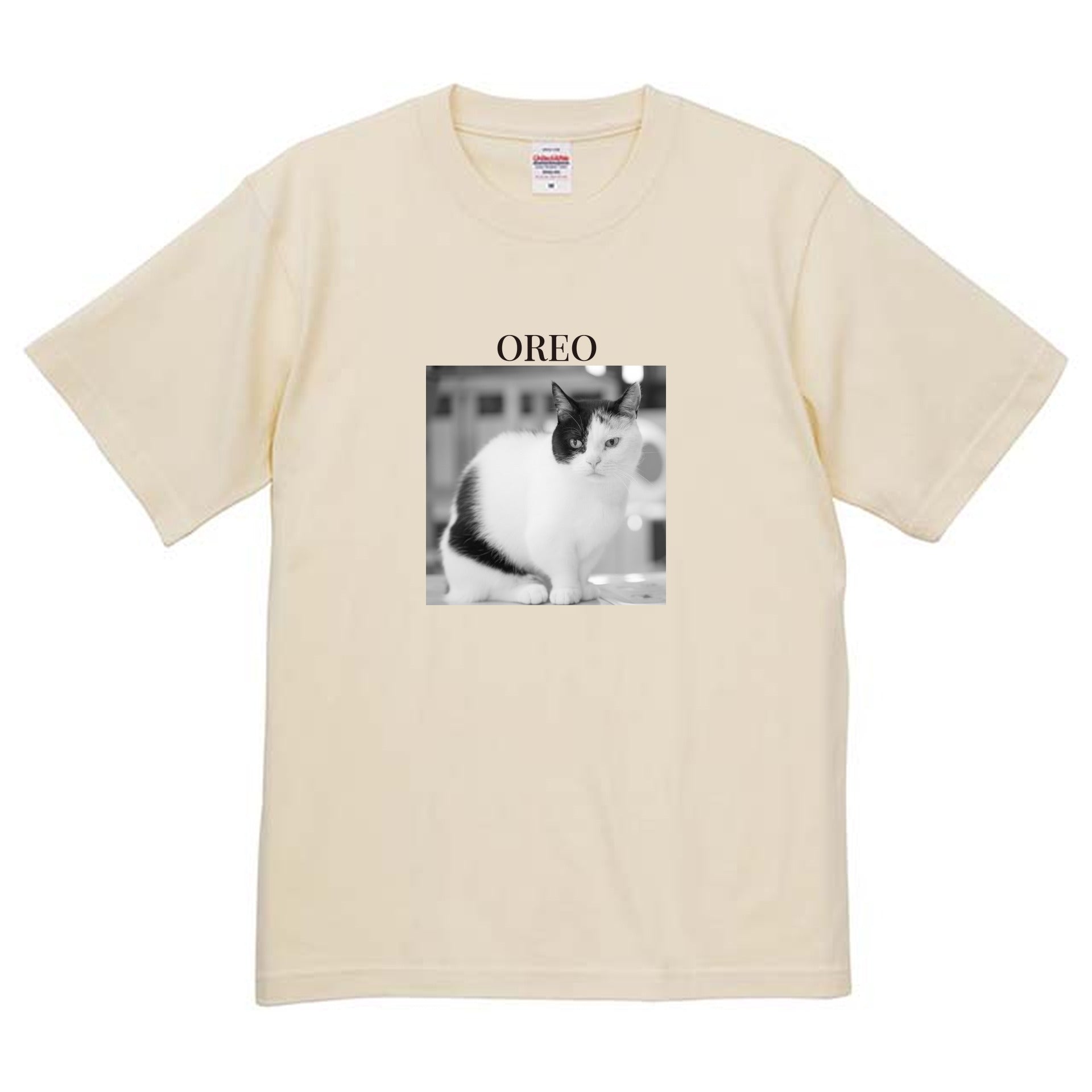019