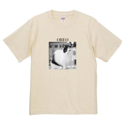 019