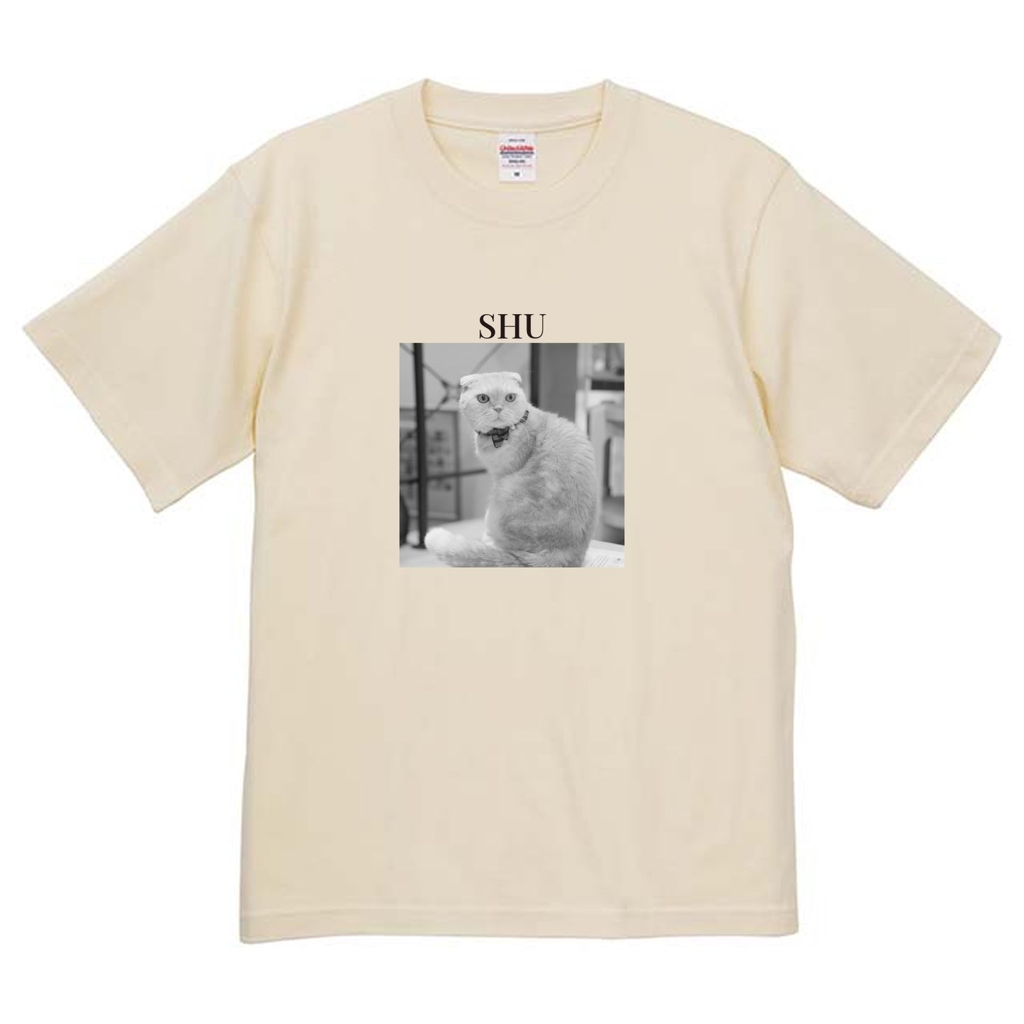 019