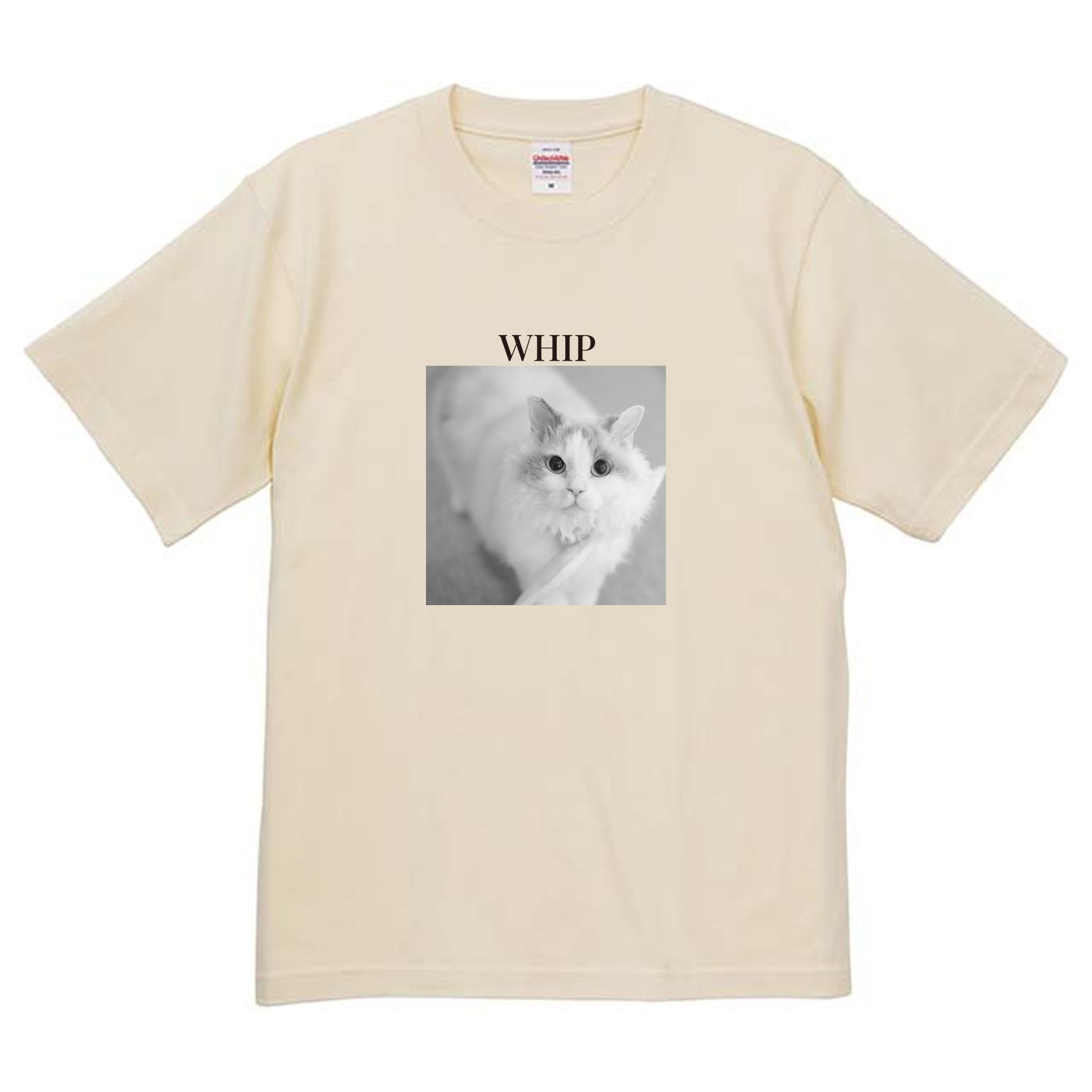 019